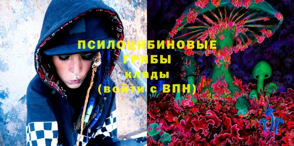 дурь Алексеевка