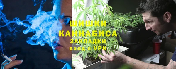 дурь Алексеевка