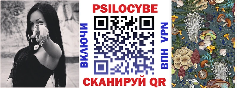 Псилоцибиновые грибы Psilocybine cubensis Любань